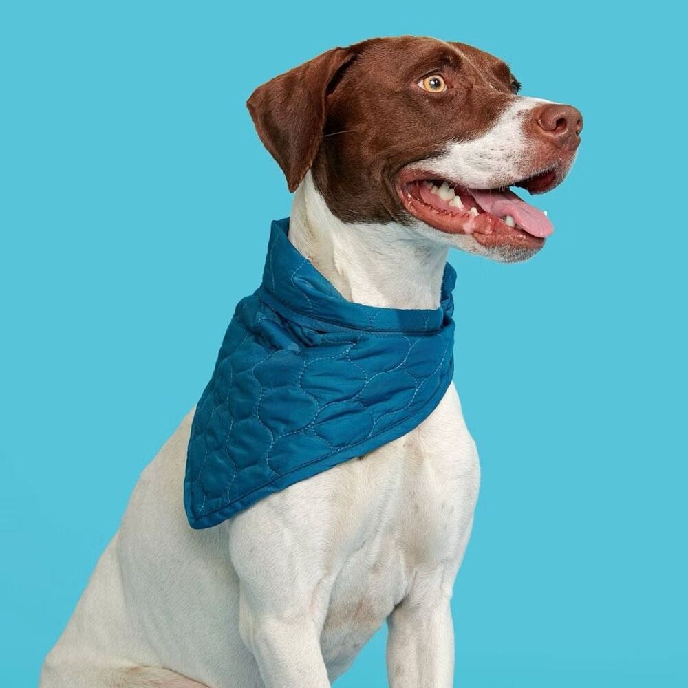 Bark Home Quilted Dapper Pet Dog Bandana Scarf Teal Blue Medium/Large NWT